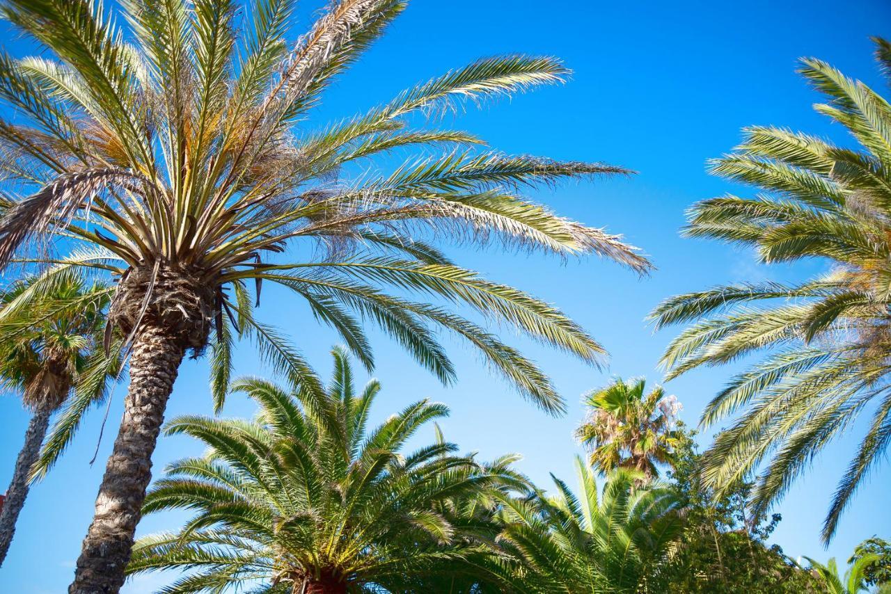 El Jasmine Apartman Corralejo Kültér fotó
